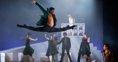 Teatrul de Balet Sibiu is Seeking for Classically Trained Male Dancers