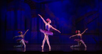 Jose Mateo Ballet Theatre is Looking for Dancers
