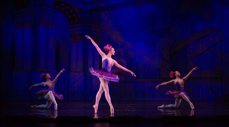 Jose Mateo Ballet Theatre is Looking for Dancers