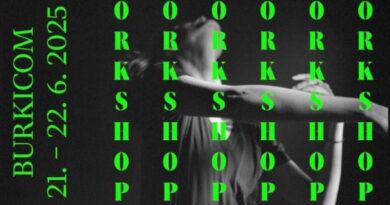 Intensive Weekend Workshop with BURKICOM