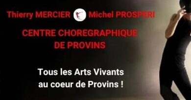 Centre Chorégraphique de Provins (CCDP) Professional Dance Program