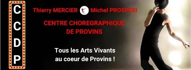 Centre Chorégraphique de Provins (CCDP) Professional Dance Program