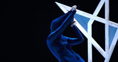 Tanz Company Gervasi is Looking for 2 Male Dancers for Upcoming Production