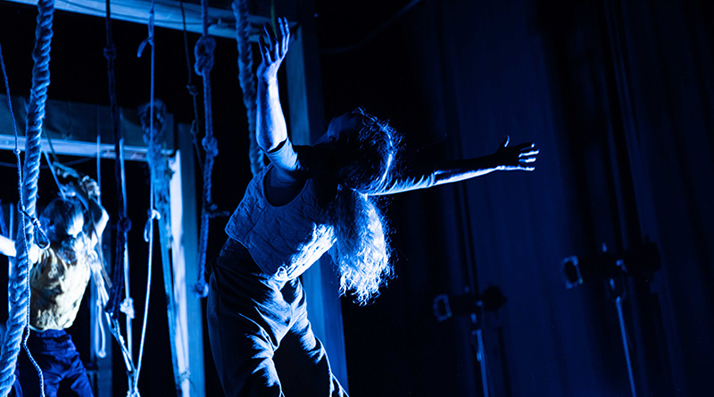 DansBlok is Looking for Freelance Dancers forTwo Existing Productions