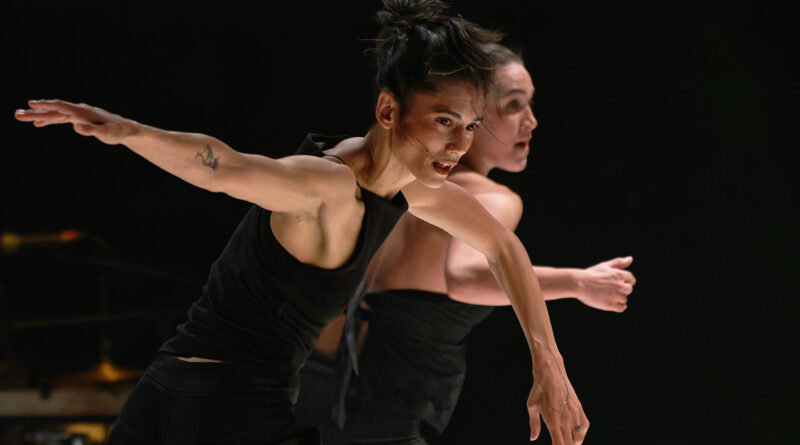 Compagnie Linga is Looking for Female-Identifying Dancers