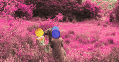 Somatic movement & Herbalism residential workshop at Lefkada island, Greece