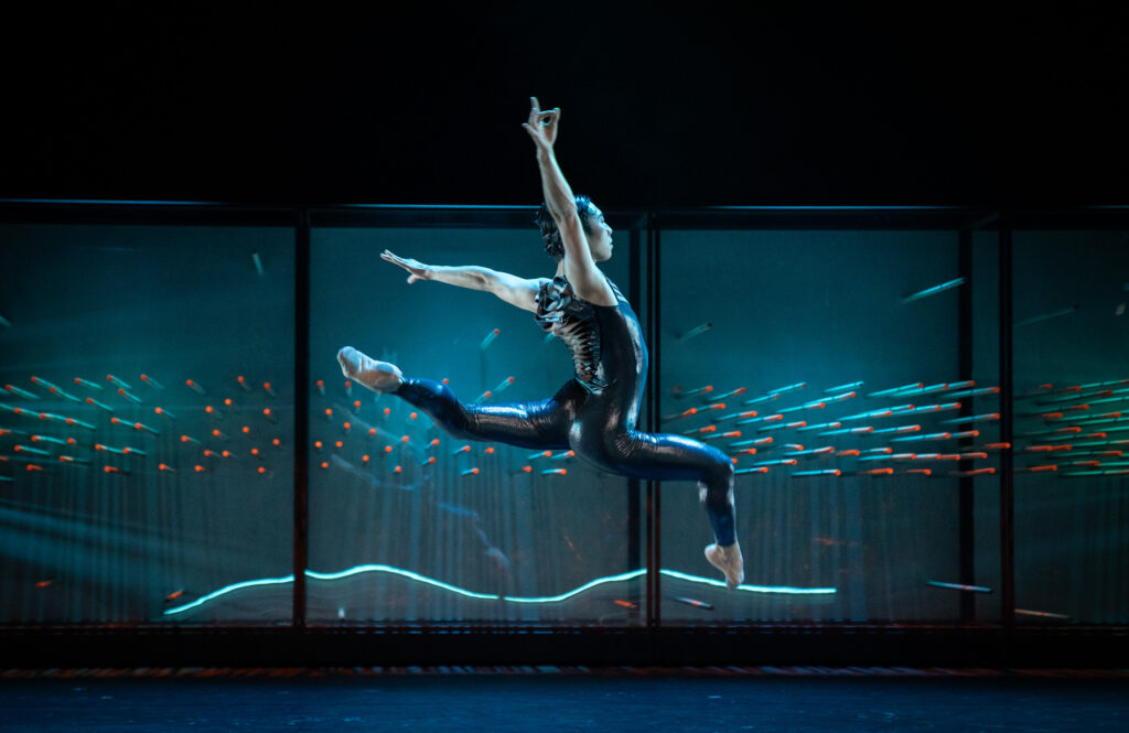 BallettCompagnie Oldenburg is Looking for a Male Identifying Dancer