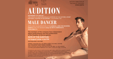 Kecskemet City Balett is Looking for Male a Dancer