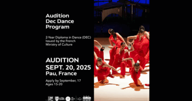 Diplôme d'Etudes Chorégraphiques (DEC) - Audition in PAU (France - Pyrénées-Atlantiques)
