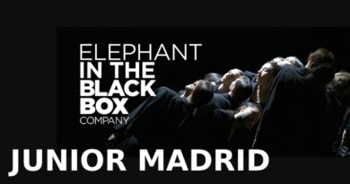ELEPHANT IN THE BLACK BOX JUNIOR MADRID - AUDITION CALL