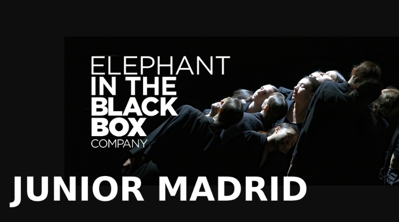 ELEPHANT IN THE BLACK BOX JUNIOR MADRID - AUDITION CALL