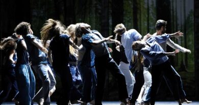 The Staatheater Braunschweig is Looking for Professional Dancers for Season 26/27