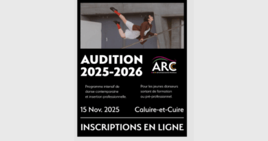Audition for Arcdanceprogram intensive contemporary dance program