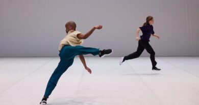 Dresden Frankfurt Dance Company is Looking for Dancers