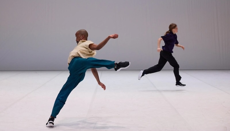 Dresden Frankfurt Dance Company is Looking for Dancers