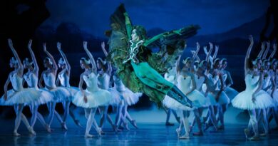 Hungarian National Ballet is Looking for Female and Male Dancers