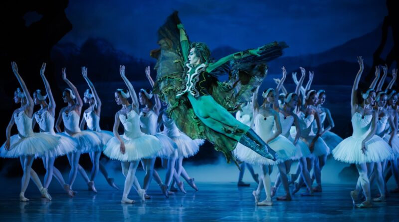 Hungarian National Ballet is Looking for Female and Male Dancers