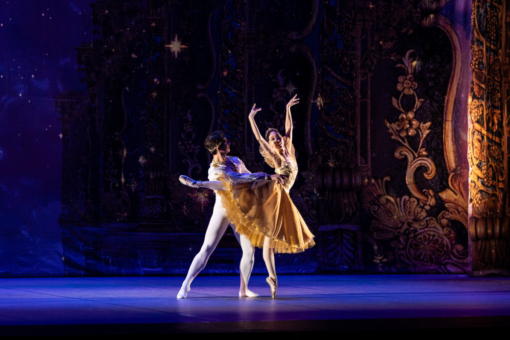 World Ballet Company is Looking for Dancers