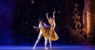 World Ballet Company is Looking for Dancers