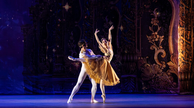 World Ballet Company is Looking for Dancers