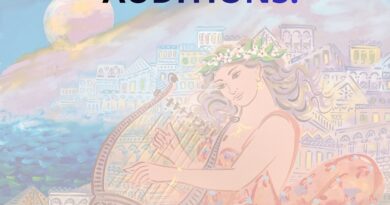 VDK Dance is Looking for 1 Female Dancer