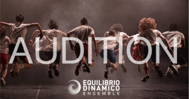 Open Call_Equilibrio Dinamico Ensemble26_ Fast Track Edition