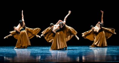Vacancy Coordinator Dance, Royal Conservatoire