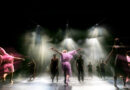 Ballett Theater Magdeburg is Looking for Apprentice Dancers for the Season 26/27