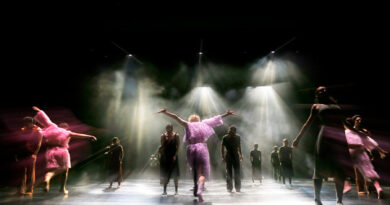 Ballett Theater Magdeburg is Looking for Apprentice Dancers for the Season 26/27