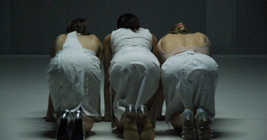 WArd/waRD – Ann Van den Broek is Looking for Two Female Performers/Dancers