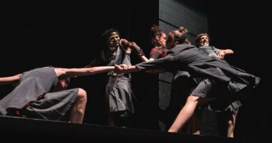 CocoonDance Company is Seeking Experienced Dancers