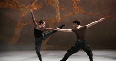 Székesfehérvár Ballet Theatre is Seeking Dancers for the Season 26/27