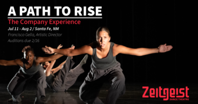 Zeitgeist Dance Theatre Trainee Auditions Due February 16