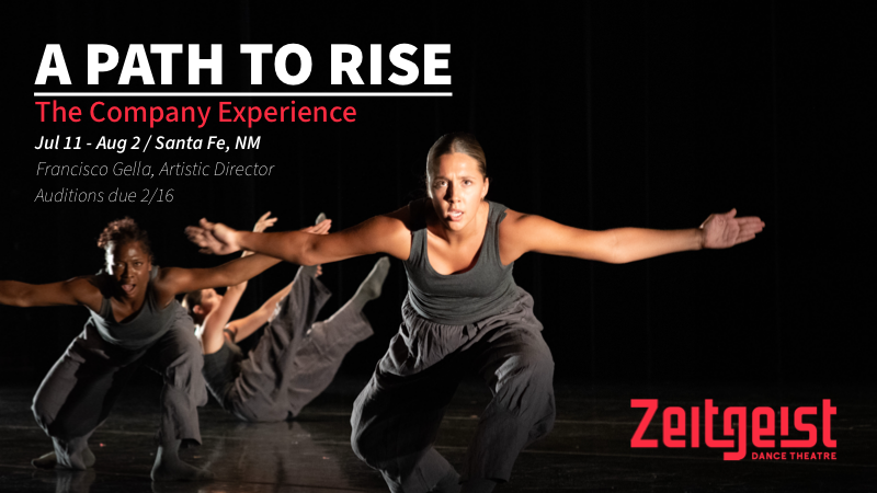 Zeitgeist Dance Theatre Trainee Auditions Due February 16