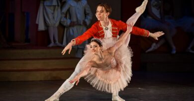 Serbian National Theatre is Looking for 10 Ballet Dancers