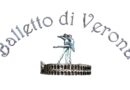 BALLETTO DI VERONA AUDITIONS Academic Year 2026/2027