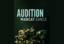 Marcat Dance Company is Looking for Dancers