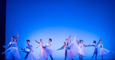 Vanemuine Theatre is Seeking a Ballet Repetiteur