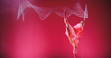 Poetic Disasters Club is Holding an Extra Audition Round for the 2026–2027 Season