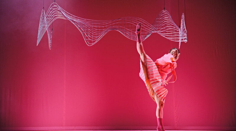 Poetic Disasters Club is Holding an Extra Audition Round for the 2026–2027 Season