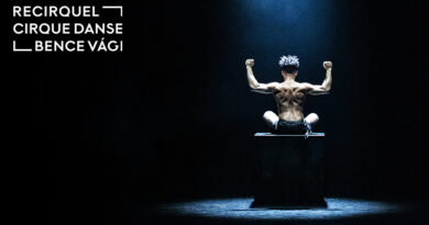 Recirquel is Seeking a Dancer