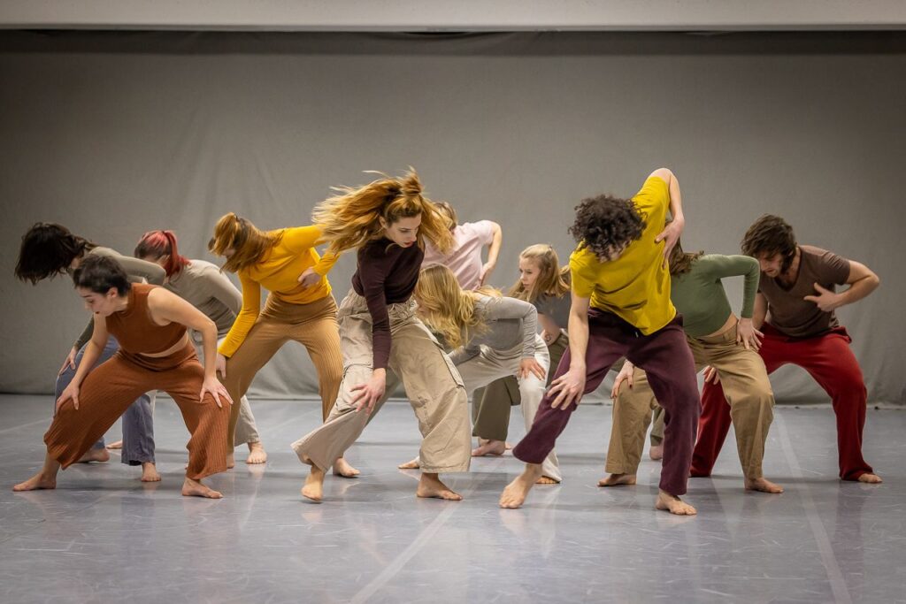 Berlin Dance Institute Audition 3- year professional contemporary dance program