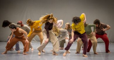 Berlin Dance Institute Audition 3- year professional contemporary dance program