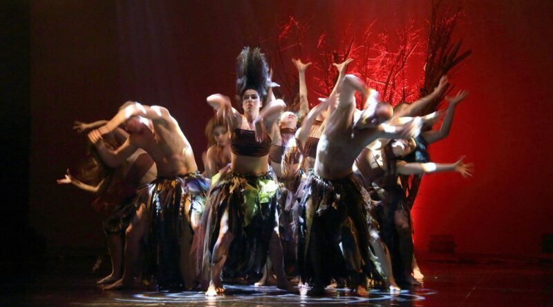 State Opera is Looking for Male Ballet Dancer – man choir / man soloist