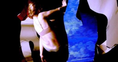 Territori-di-Ricerca! – A Development Programme For Dance Artists Based in Vienna, Austria