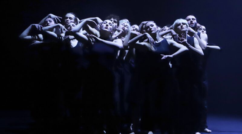 Théâtre du Corps Pietragalla Derouault is Looking for Male Dancers