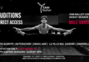 TAM Ballet is Seeking Male Dancers