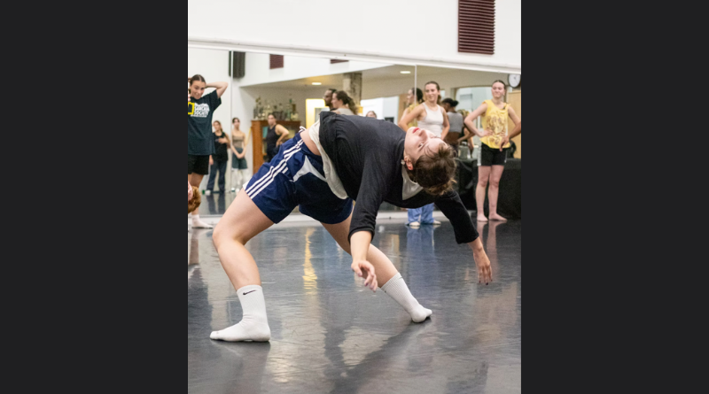 Boston Dance Theater is Looking for Dancers