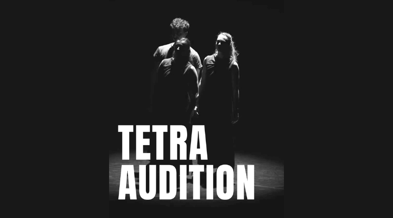 La Compagnie ZEO is Looking for a Male Dancer