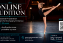 Munich International Ballet School Intensive Program - Online Audition